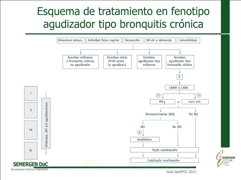 Esquema de tratamiento en fenotipo agudizador tipo bronquitis crónica