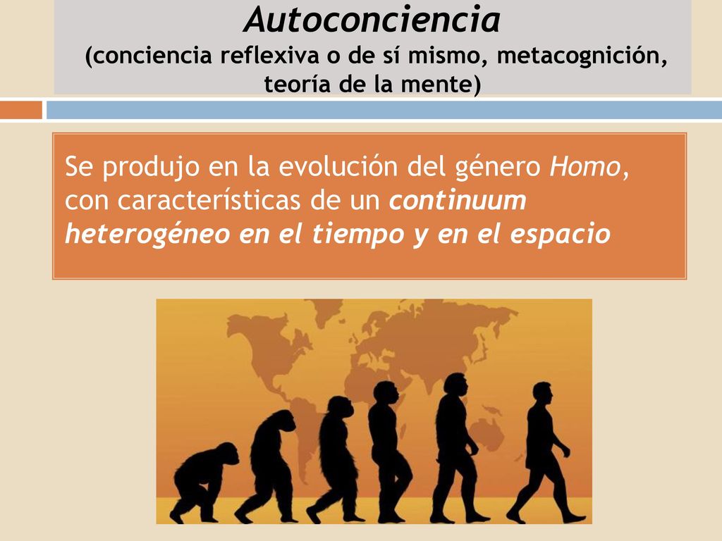 Autoconciencia (conciencia reflexiva o de sí mismo, metacognición, teoría de la mente)