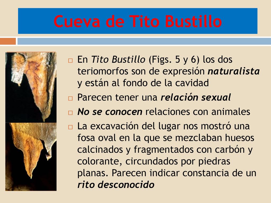 Cueva de Tito Bustillo En Tito Bustillo (Figs. 5 y 6) los dos teriomorfos son de expresión naturalista y están al fondo de la cavidad.