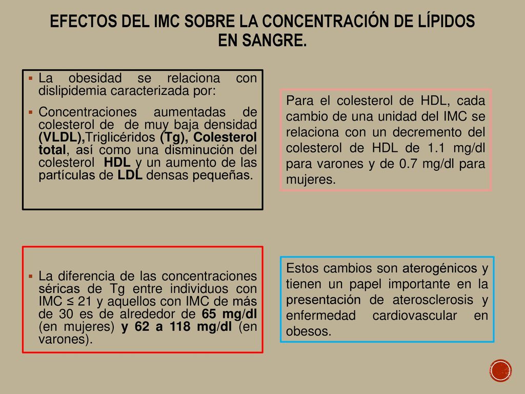 Efectos del imc sobre la concentración de lípidos en sangre.