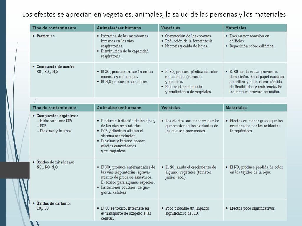 Los efectos se aprecian en vegetales, animales, la salud de las personas y los materiales
