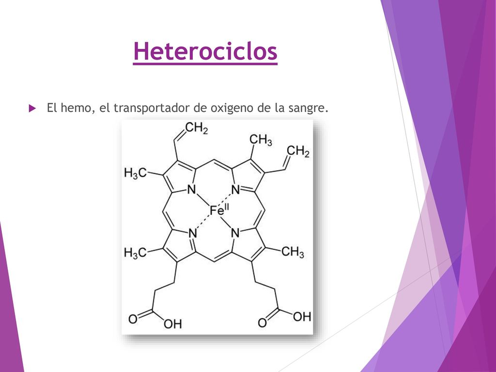 Heterociclos El hemo, el transportador de oxigeno de la sangre.