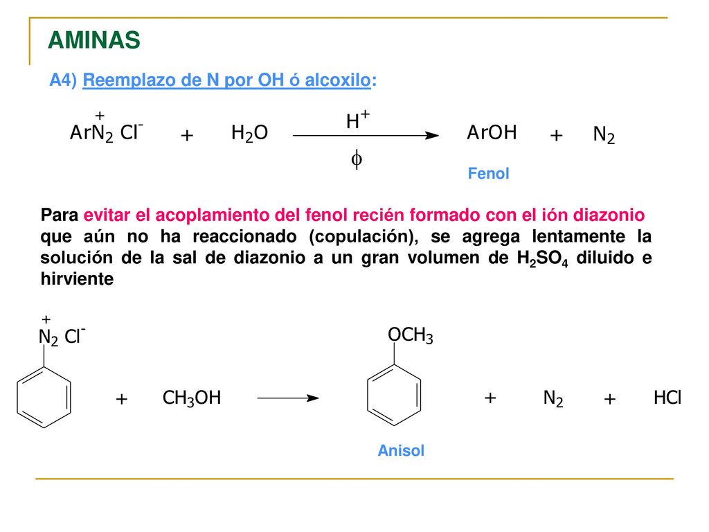 AMINAS A4) Reemplazo de N por OH ó alcoxilo: