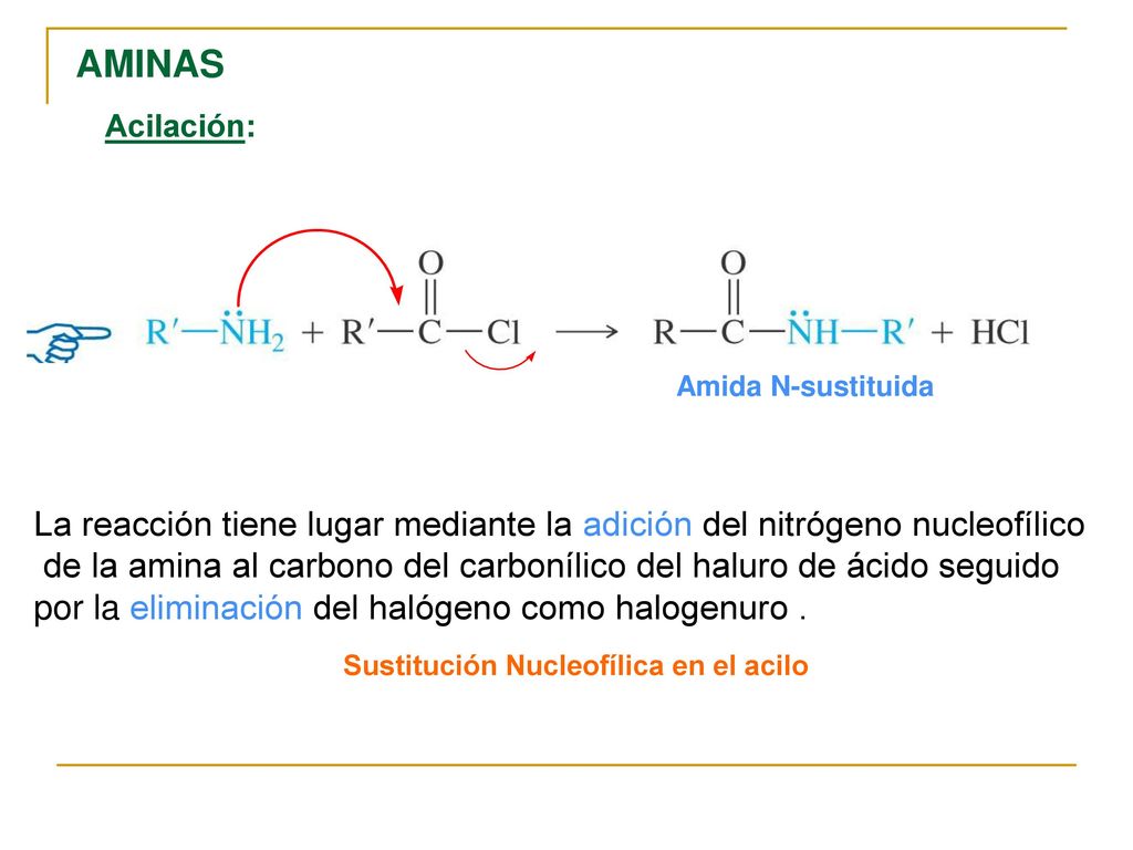 AMINAS Acilación: Amida N-sustituida. La reacción tiene lugar mediante la adición del nitrógeno nucleofílico.
