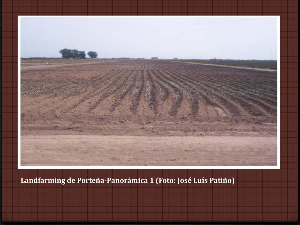 Landfarming de Porteña-Panorámica 1 (Foto: José Luís Patiño)