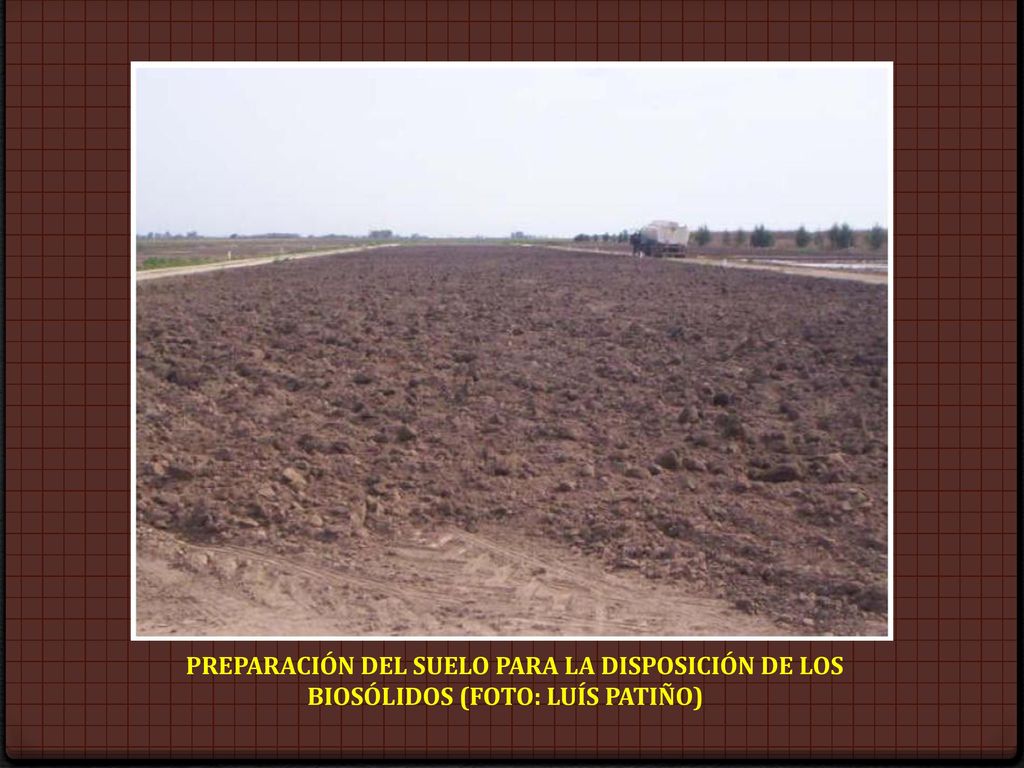 PREPARACIÓN DEL SUELO PARA LA DISPOSICIÓN DE LOS BIOSÓLIDOS (FOTO: LUÍS PATIÑO)