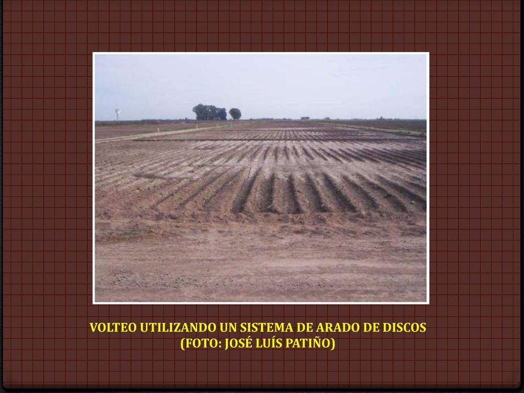 VOLTEO UTILIZANDO UN SISTEMA DE ARADO DE DISCOS (FOTO: JOSÉ LUÍS PATIÑO)
