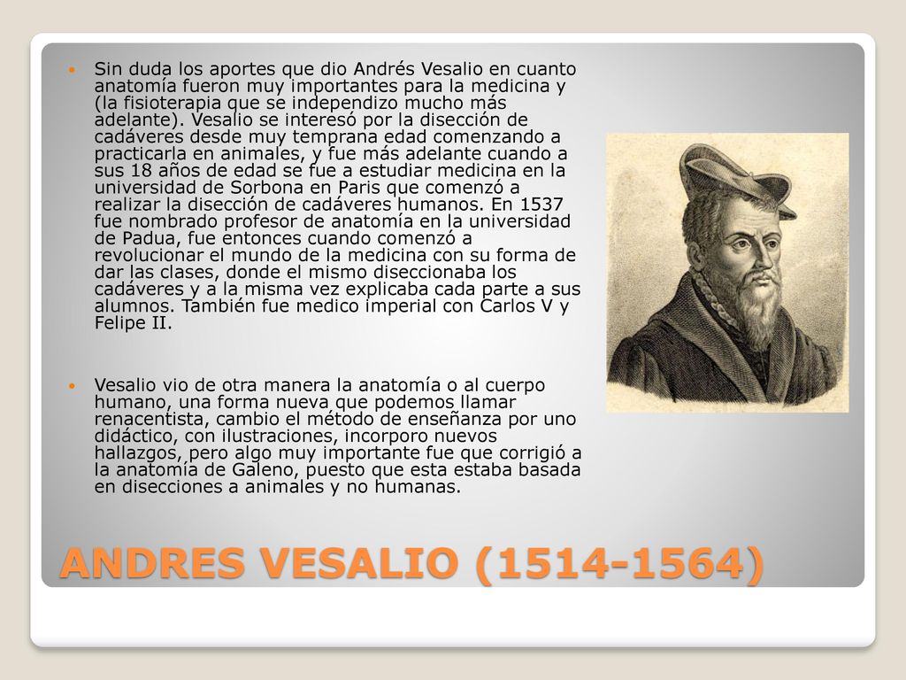 Sin duda los aportes que dio Andrés Vesalio en cuanto anatomía fueron muy importantes para la medicina y (la fisioterapia que se independizo mucho más adelante). Vesalio se interesó por la disección de cadáveres desde muy temprana edad comenzando a practicarla en animales, y fue más adelante cuando a sus 18 años de edad se fue a estudiar medicina en la universidad de Sorbona en Paris que comenzó a realizar la disección de cadáveres humanos. En 1537 fue nombrado profesor de anatomía en la universidad de Padua, fue entonces cuando comenzó a revolucionar el mundo de la medicina con su forma de dar las clases, donde el mismo diseccionaba los cadáveres y a la misma vez explicaba cada parte a sus alumnos. También fue medico imperial con Carlos V y Felipe II.