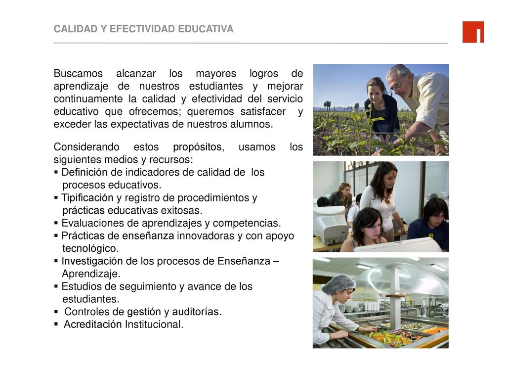 Definición de indicadores de calidad de los procesos educativos.