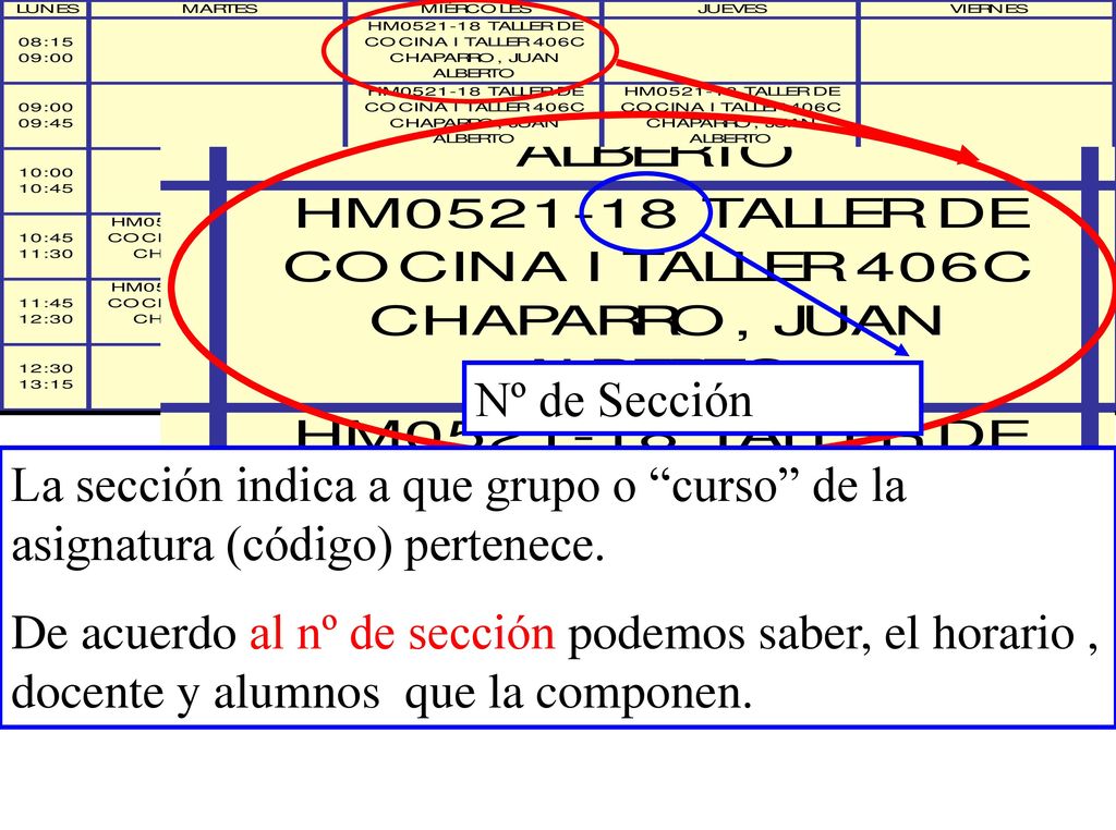 Nº de Sección La sección indica a que grupo o curso de la asignatura (código) pertenece.