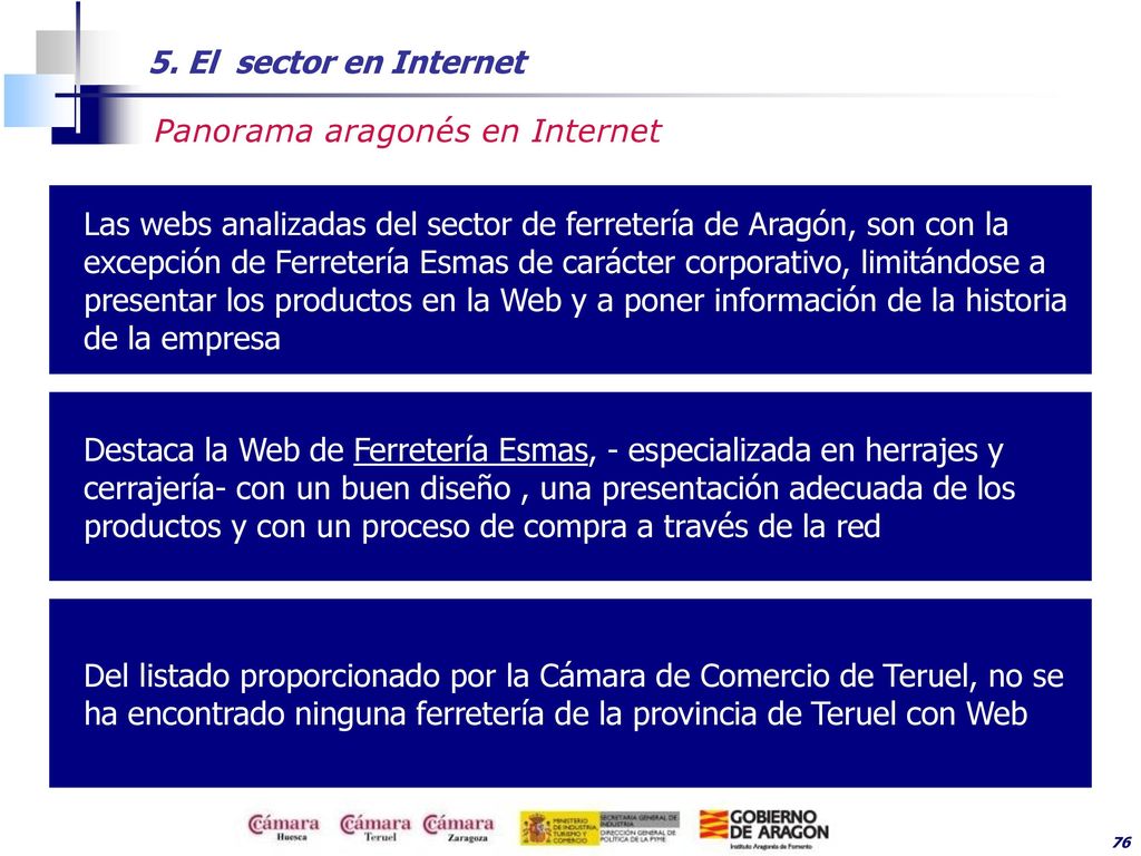 5. El sector en Internet Panorama aragonés en Internet.