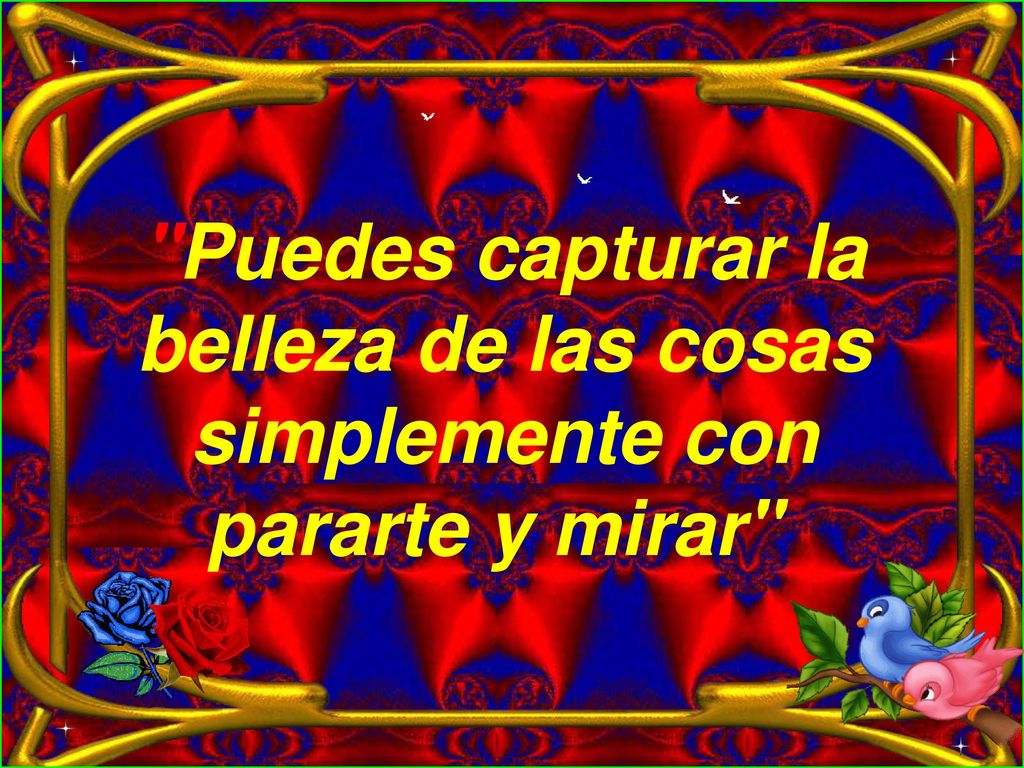Puedes capturar la belleza de las cosas simplemente con pararte y mirar