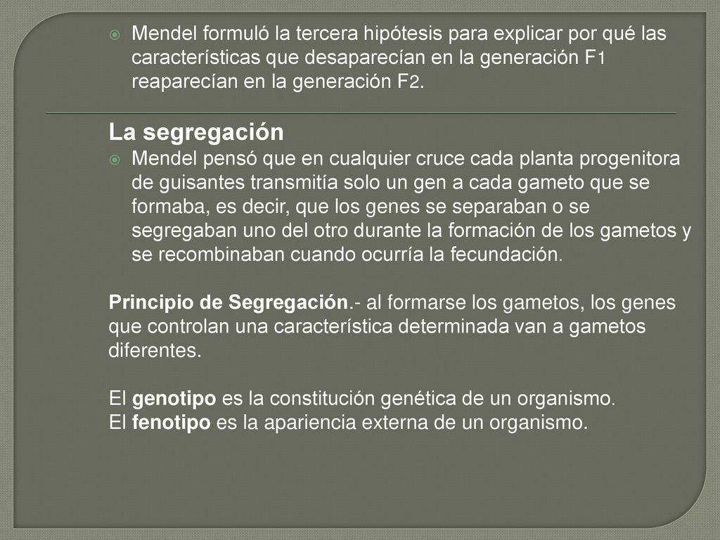 Mendel formuló la tercera hipótesis para explicar por qué las características que desaparecían en la generación F1 reaparecían en la generación F2.