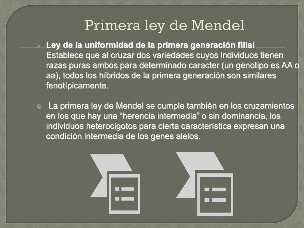 Primera ley de Mendel Ley de la uniformidad de la primera generación filial.