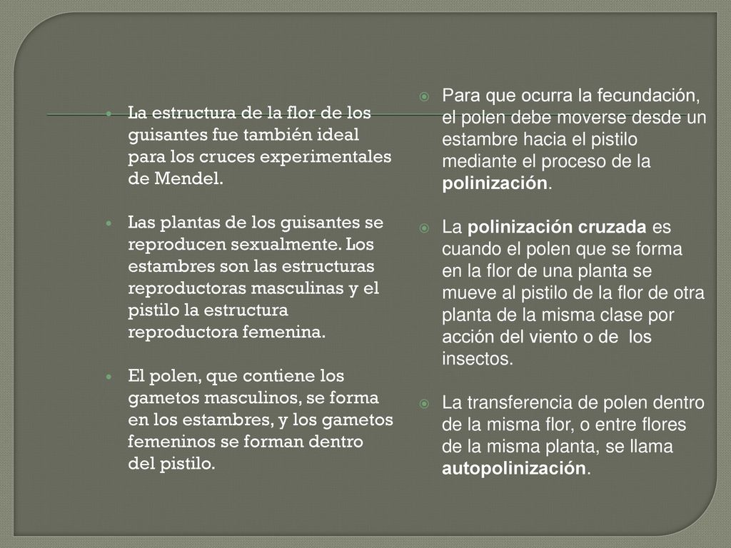 Para que ocurra la fecundación, el polen debe moverse desde un estambre hacia el pistilo mediante el proceso de la polinización.