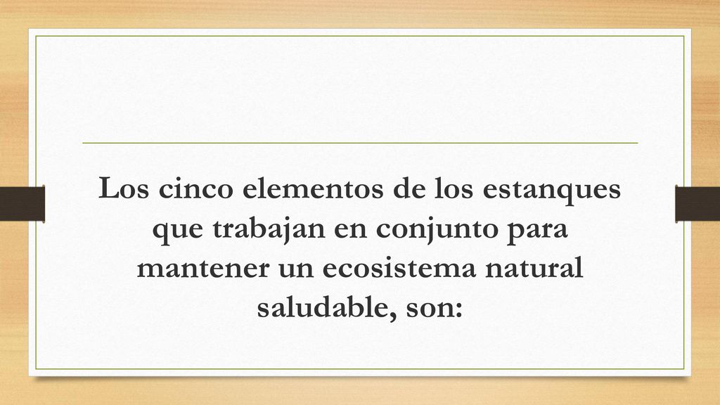 Los cinco elementos de los estanques que trabajan en conjunto para mantener un ecosistema natural saludable, son:
