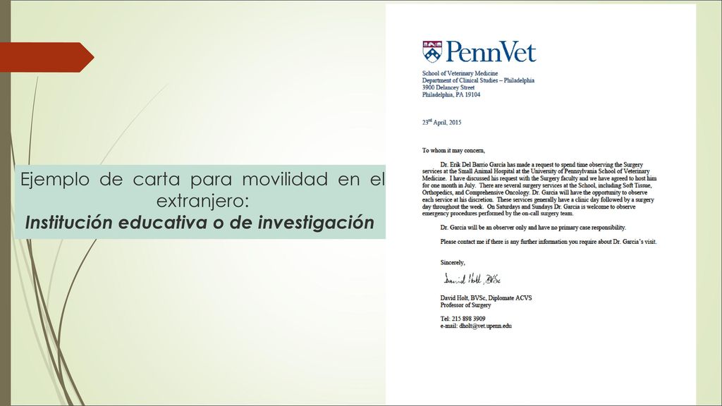 Ejemplo de carta para movilidad en el extranjero: Institución educativa o de investigación
