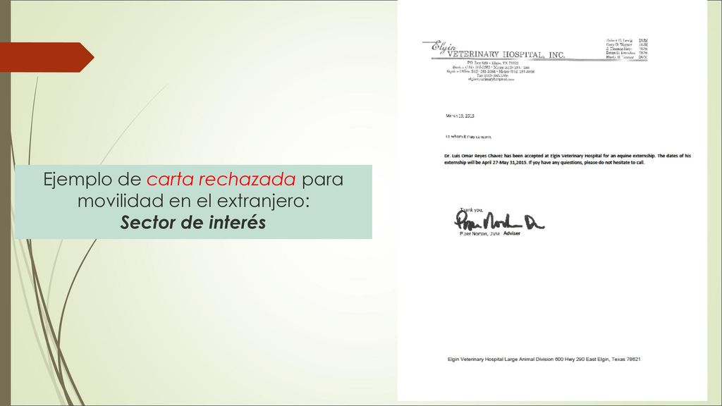 Ejemplo de carta rechazada para movilidad en el extranjero: Sector de interés