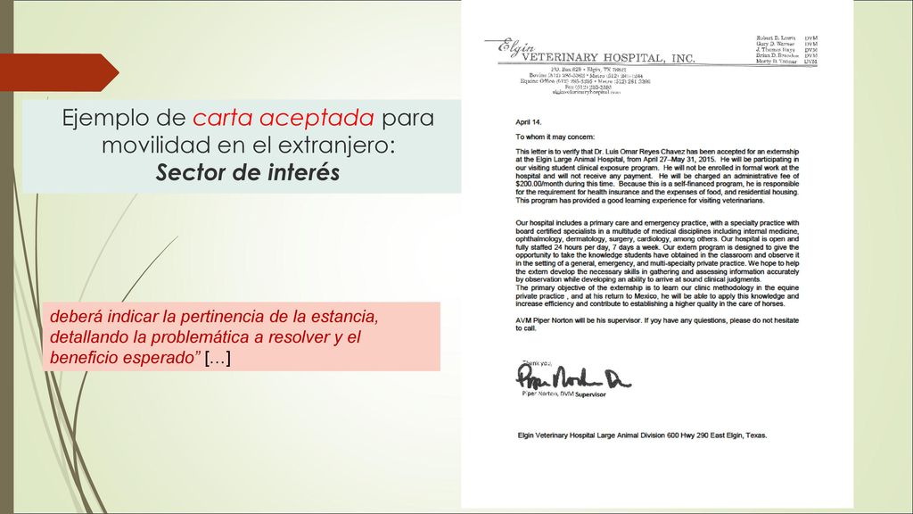 Ejemplo de carta aceptada para movilidad en el extranjero: Sector de interés