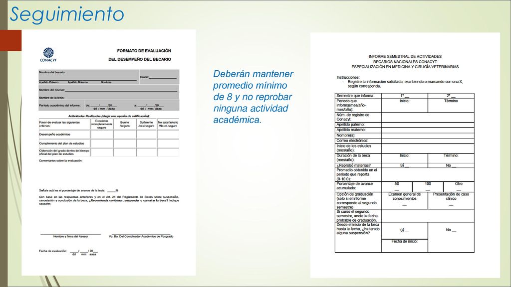 Seguimiento Deberán mantener promedio mínimo de 8 y no reprobar ninguna actividad académica.