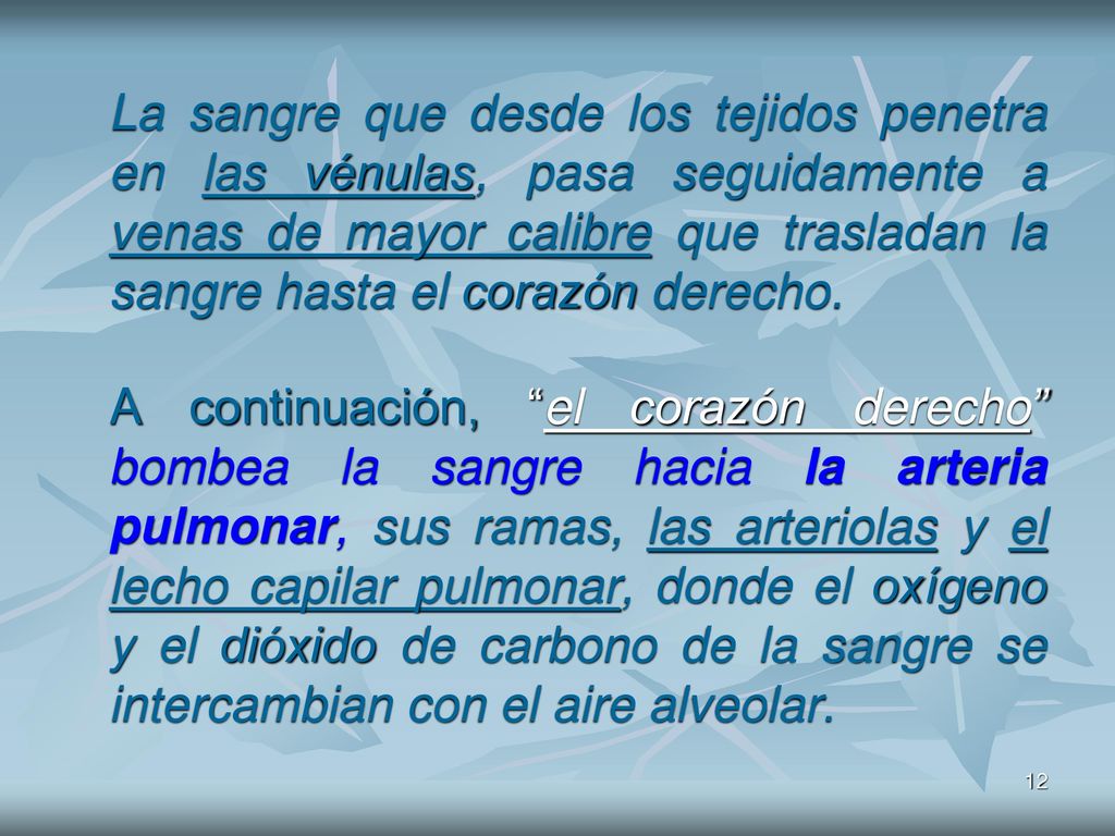 La sangre que desde los tejidos penetra en las vénulas, pasa seguidamente a venas de mayor calibre que trasladan la sangre hasta el corazón derecho.