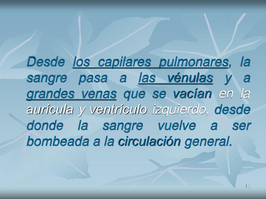 Desde los capilares pulmonares, la sangre pasa a las vénulas y a grandes venas que se vacían en la aurícula y ventrículo izquierdo, desde donde la sangre vuelve a ser bombeada a la circulación general.