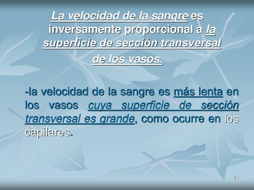 La velocidad de la sangre es inversamente proporcional a la superficie de sección transversal