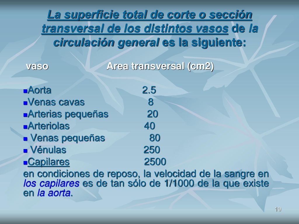La superficie total de corte o sección transversal de los distintos vasos de la circulación general es la siguiente: