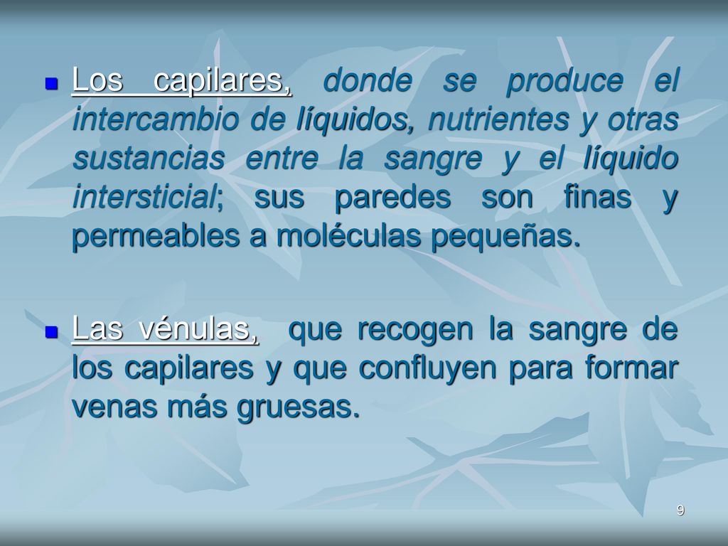 Los capilares, donde se produce el intercambio de líquidos, nutrientes y otras sustancias entre la sangre y el líquido intersticial; sus paredes son finas y permeables a moléculas pequeñas.