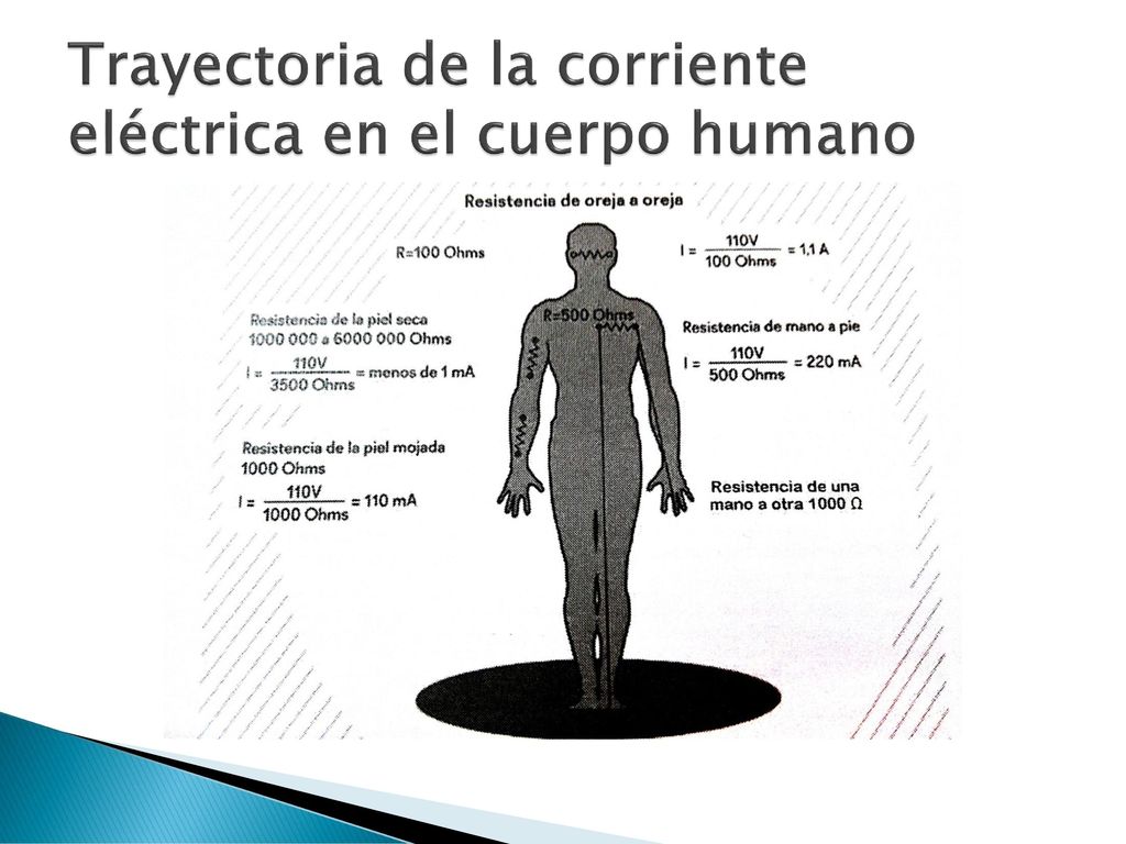 Trayectoria de la corriente eléctrica en el cuerpo humano