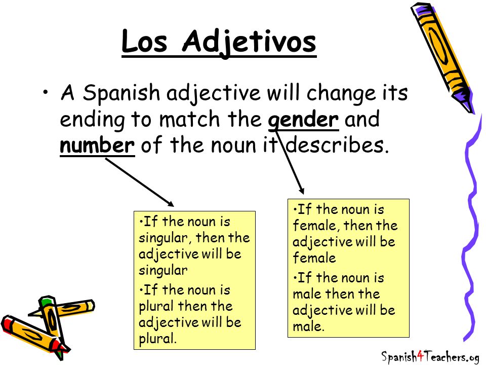 Los Adjetivos A Spanish adjective will change its ending to match the gender and number of the noun it describes.