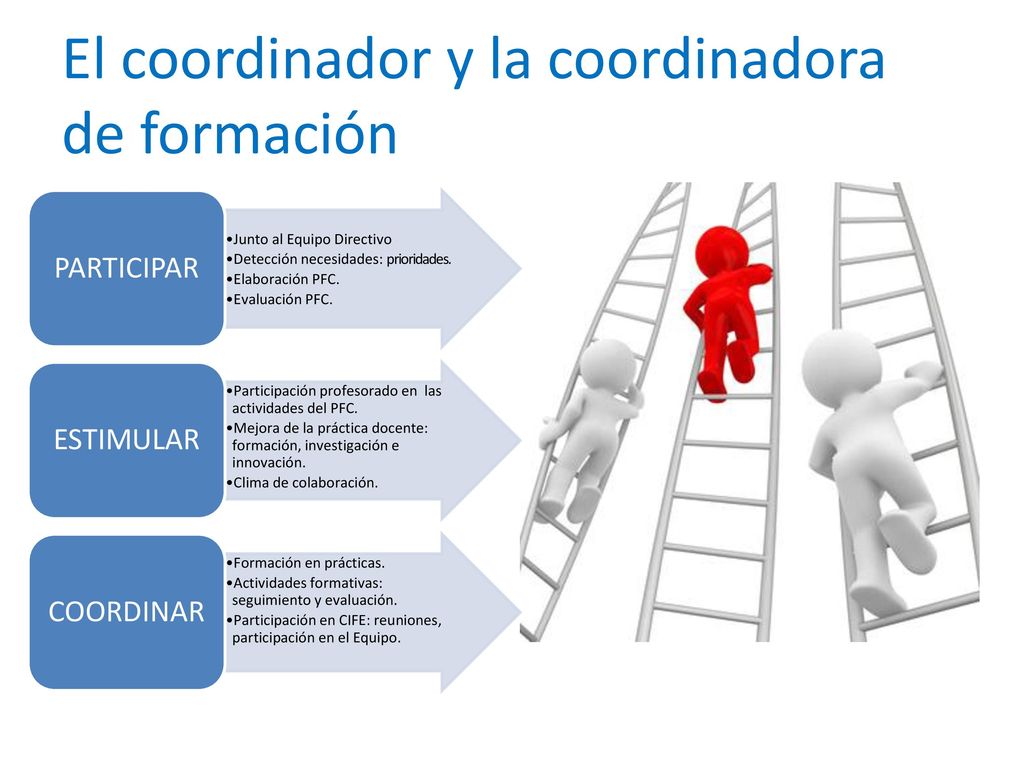 El coordinador y la coordinadora de formación