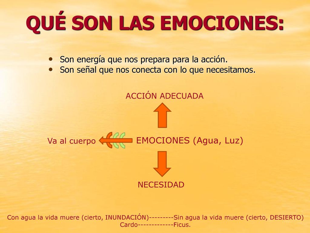 QUÉ SON LAS EMOCIONES: Son energía que nos prepara para la acción.