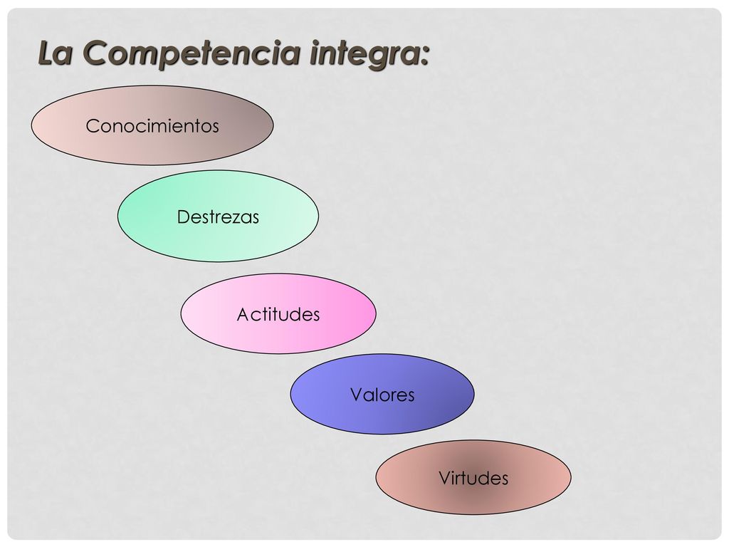 La Competencia integra: