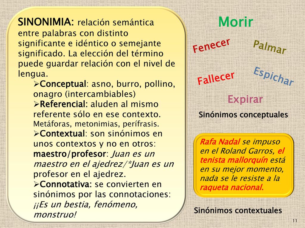 SINONIMIA: relación semántica entre palabras con distinto significante e idéntico o semejante significado. La elección del término puede guardar relación con el nivel de lengua.