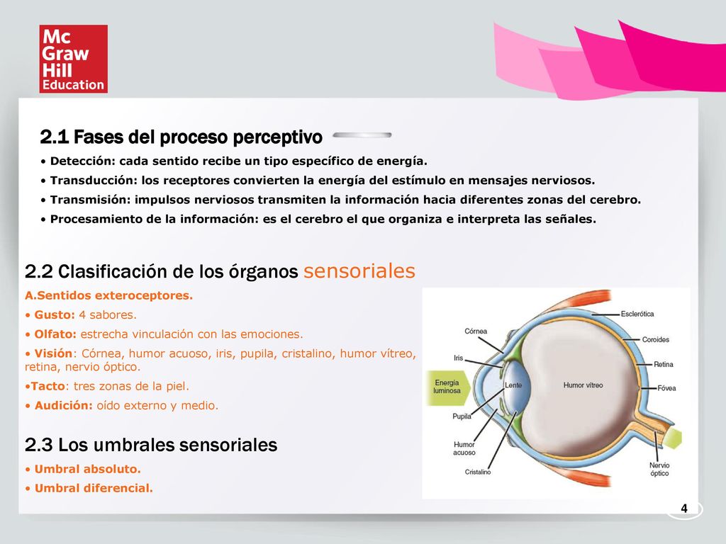 2.4 Psicología de los colores