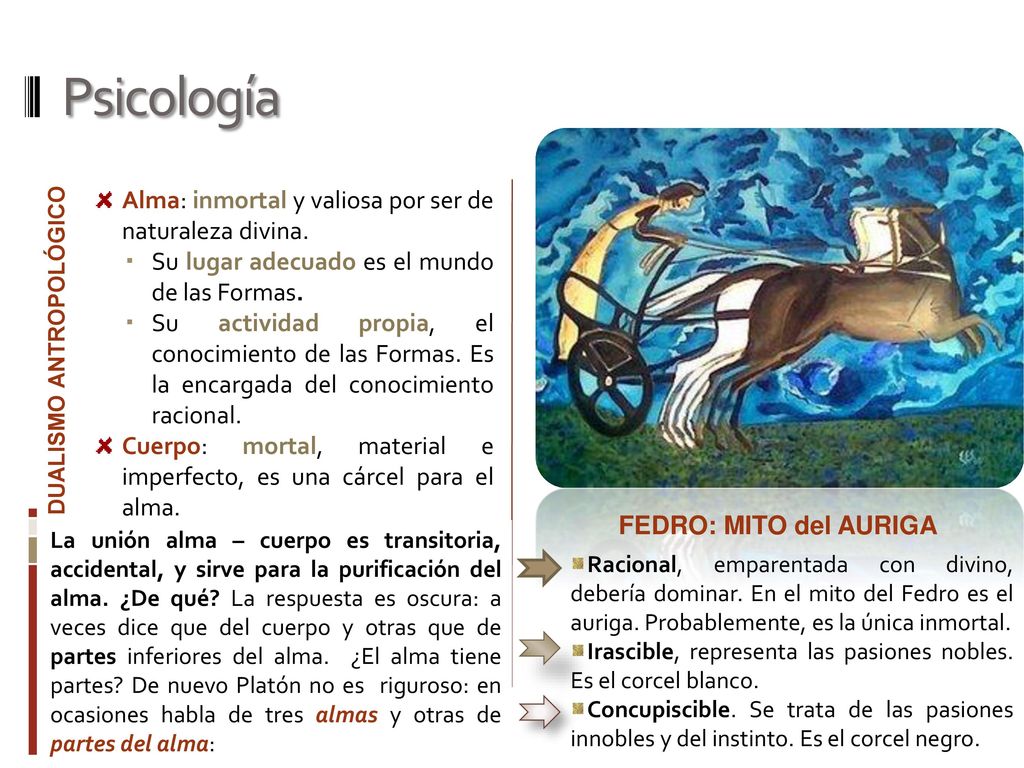 Psicología Alma: inmortal y valiosa por ser de naturaleza divina.