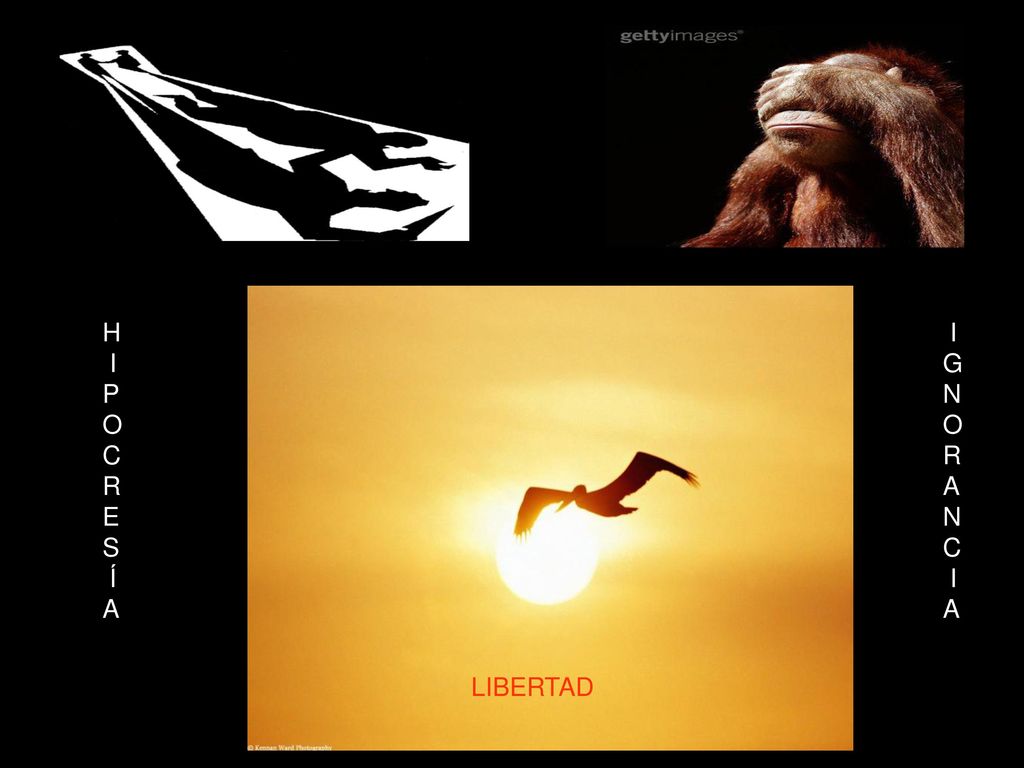 H I P O C R E S Í A I G N O R A C LIBERTAD