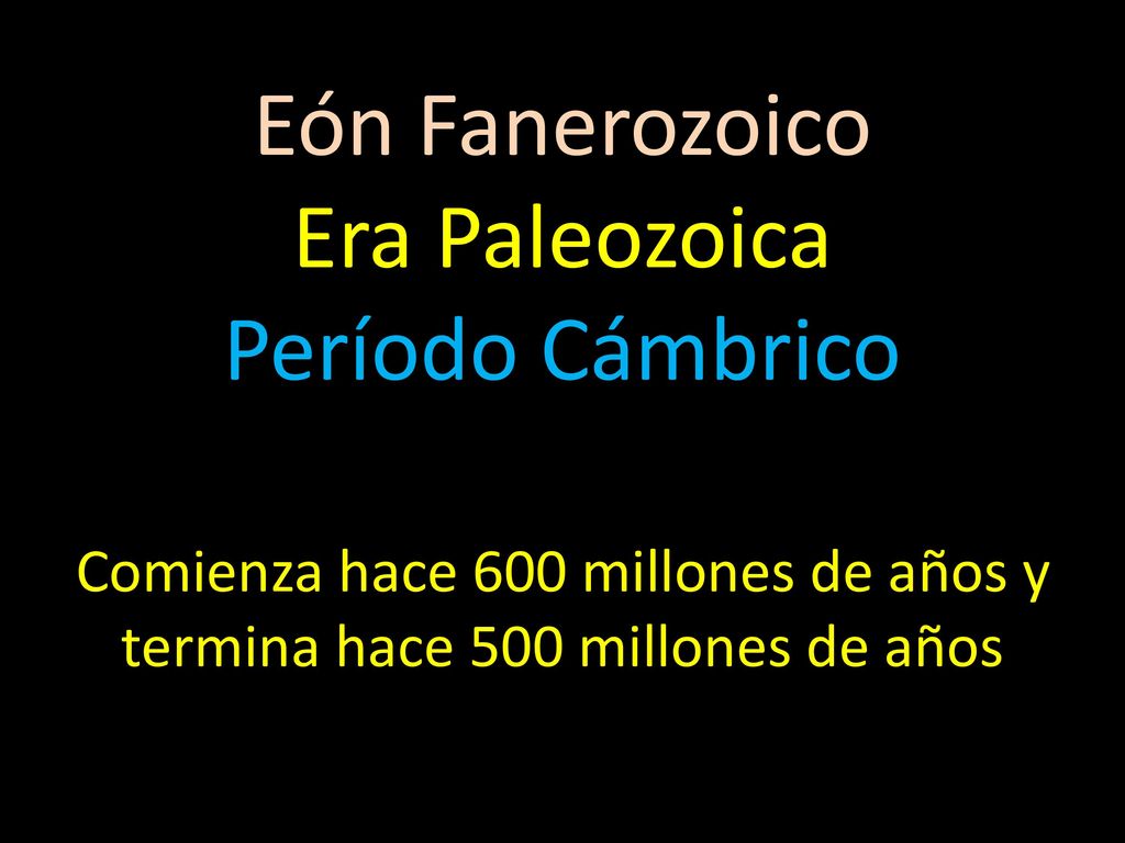 Comienza hace 600 millones de años y termina hace 500 millones de años