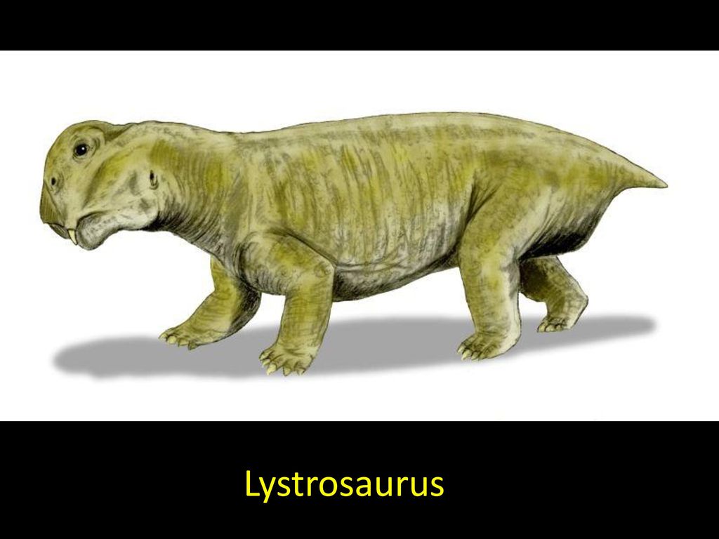 Lystrosaurus
