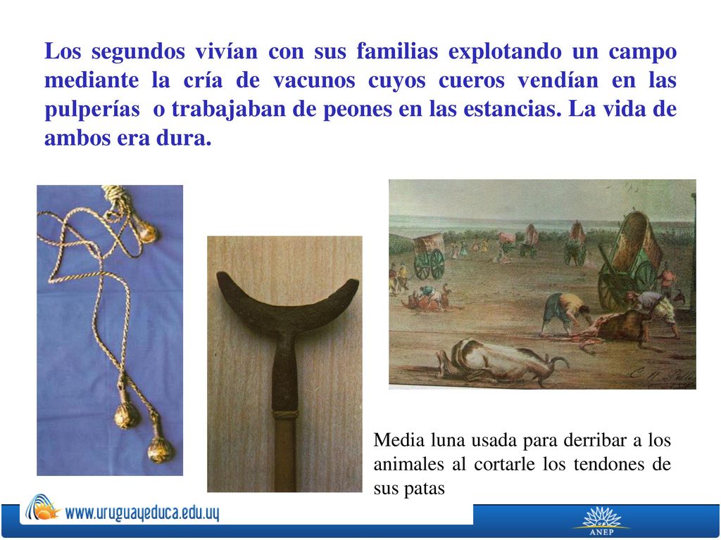 Los segundos vivían con sus familias explotando un campo mediante la cría de vacunos cuyos cueros vendían en las pulperías o trabajaban de peones en las estancias. La vida de ambos era dura.