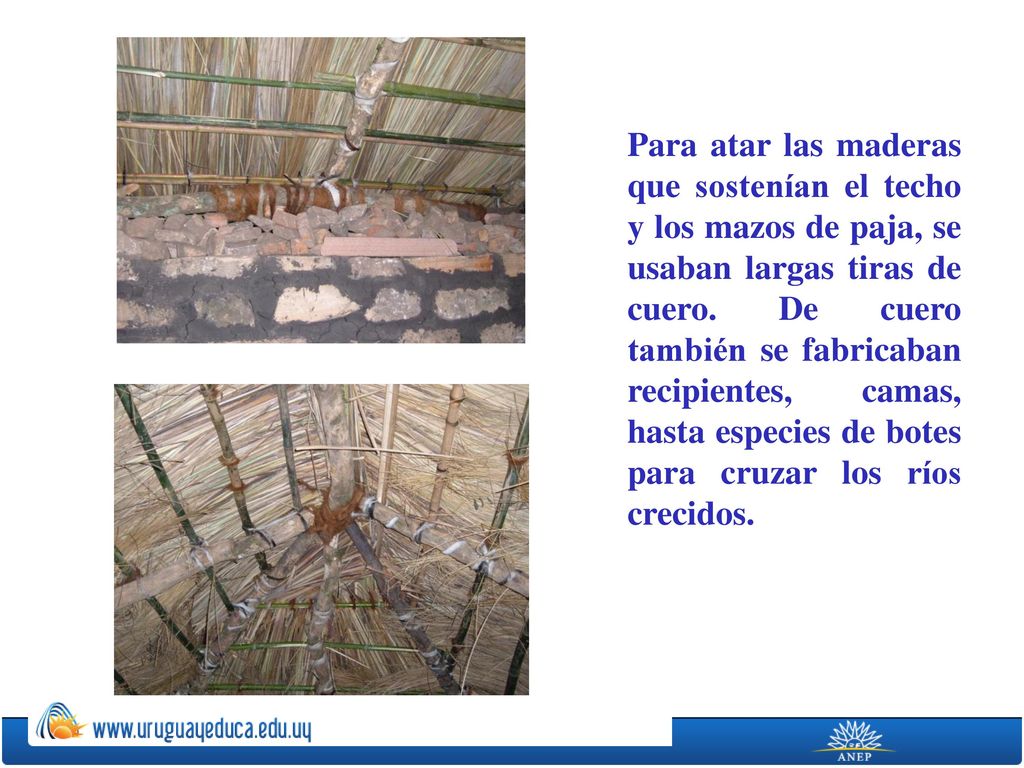 Para atar las maderas que sostenían el techo y los mazos de paja, se usaban largas tiras de cuero.