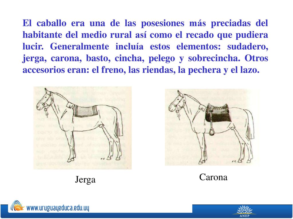 El caballo era una de las posesiones más preciadas del habitante del medio rural así como el recado que pudiera lucir. Generalmente incluía estos elementos: sudadero, jerga, carona, basto, cincha, pelego y sobrecincha. Otros accesorios eran: el freno, las riendas, la pechera y el lazo.