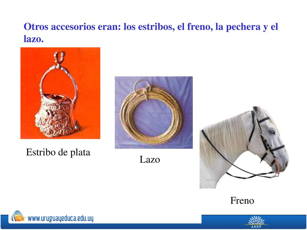 Otros accesorios eran: los estribos, el freno, la pechera y el lazo.