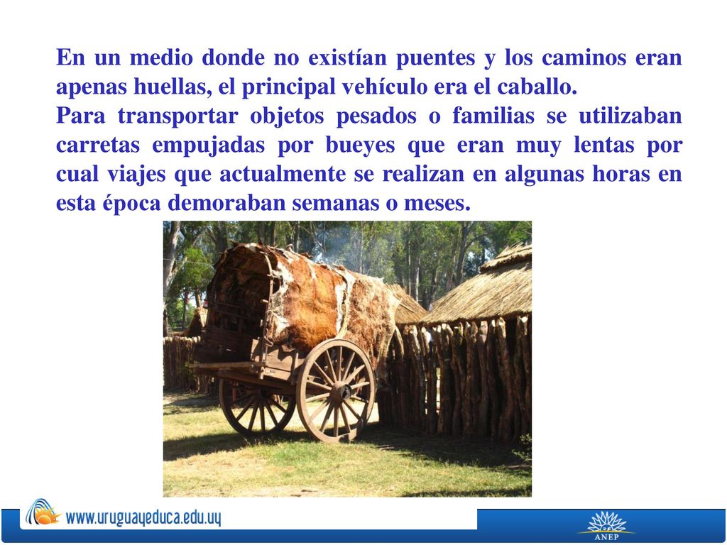 En un medio donde no existían puentes y los caminos eran apenas huellas, el principal vehículo era el caballo.