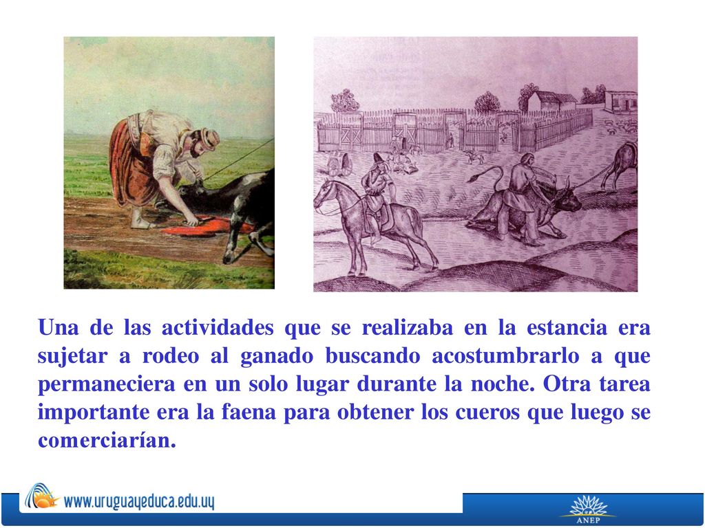 Una de las actividades que se realizaba en la estancia era sujetar a rodeo al ganado buscando acostumbrarlo a que permaneciera en un solo lugar durante la noche.