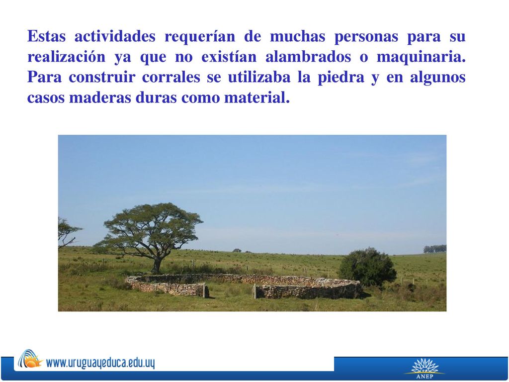 Estas actividades requerían de muchas personas para su realización ya que no existían alambrados o maquinaria.