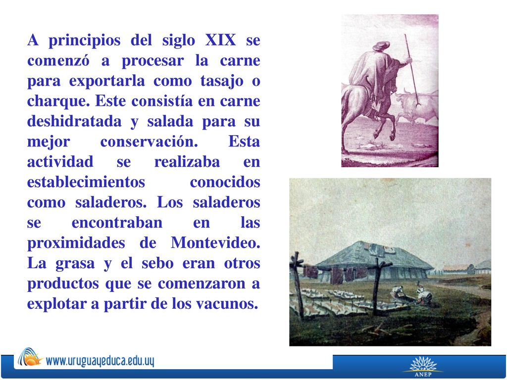 A principios del siglo XIX se comenzó a procesar la carne para exportarla como tasajo o charque.