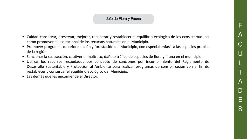 F A. C. U. L. T. D. E. S. Jefe de Flora y Fauna.