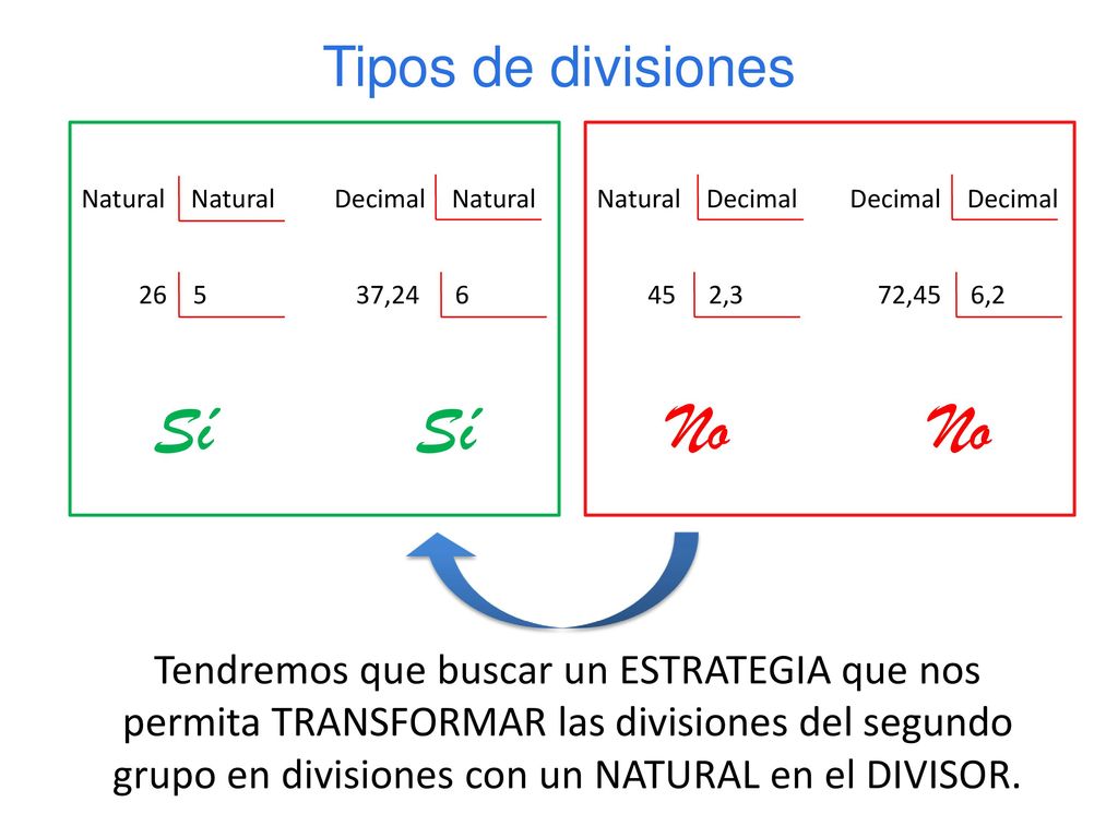 Sí Sí No No Tipos de divisiones